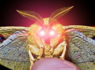 Shiva Harmony thumbnail