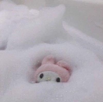 srirachadaddy profile