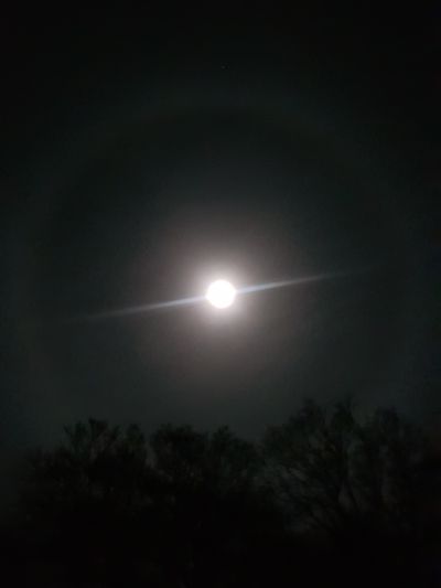 drakehunter thumbnail