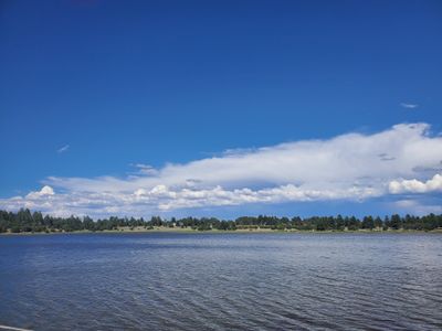 justwinkletoes thumbnail