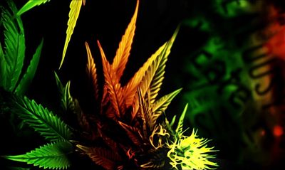 badbitxhpurrr thumbnail