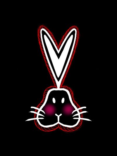 thelingerieropebunny profile