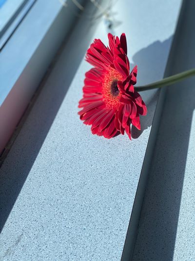 baddiee_babe23 thumbnail