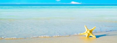 kjwilson12367 thumbnail