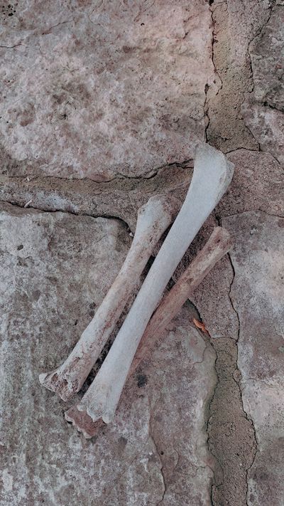 russiandollxx thumbnail