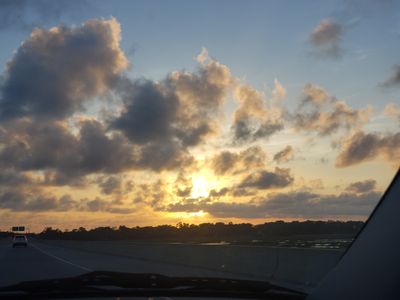 lacy.marsh thumbnail