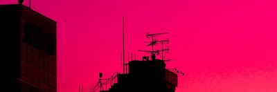 isabella_sunlight thumbnail