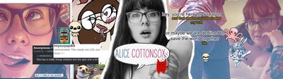 cottonsox thumbnail