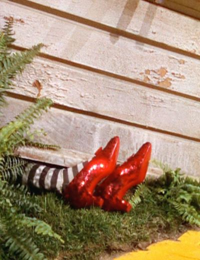 softsoles8.5 profile