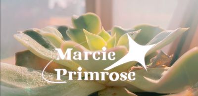 marcieprimrose thumbnail
