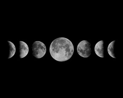 bluedreamsavage thumbnail