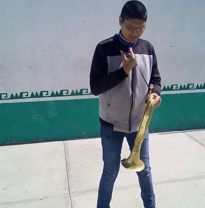 Alexis Israel profile