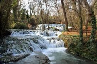 Mia_Cambhell thumbnail