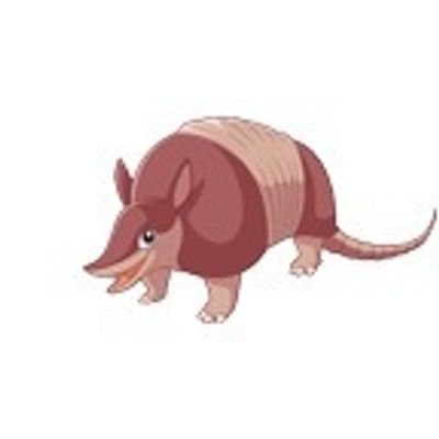 armadillooutpost profile