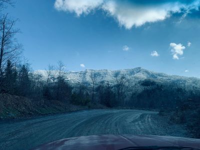 theshanimal22 thumbnail