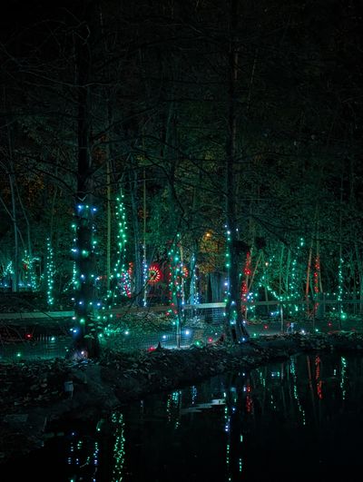 kinkykitty420f thumbnail