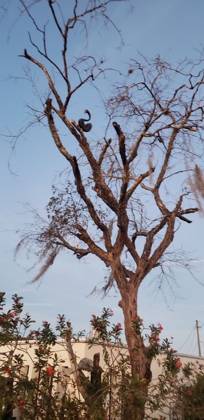 slobbinonmydobbs thumbnail