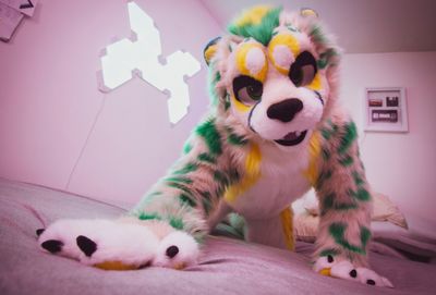 somenoodle thumbnail