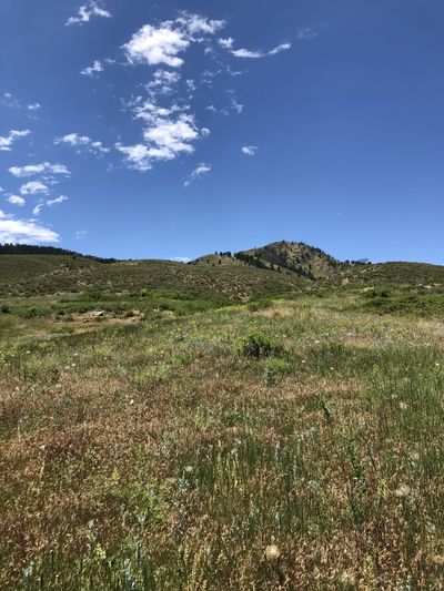 Big booty boy thumbnail