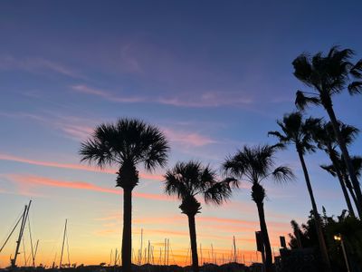 H A N N A H thumbnail