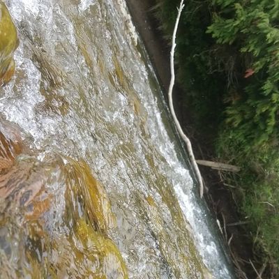 reggie1144 thumbnail