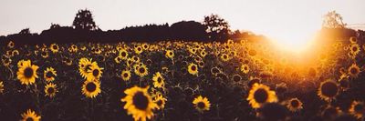 missjasminebaby thumbnail