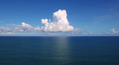 flawdabibottom thumbnail