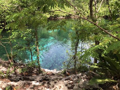 portiarayne thumbnail