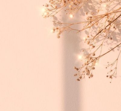 rox_grace94 thumbnail