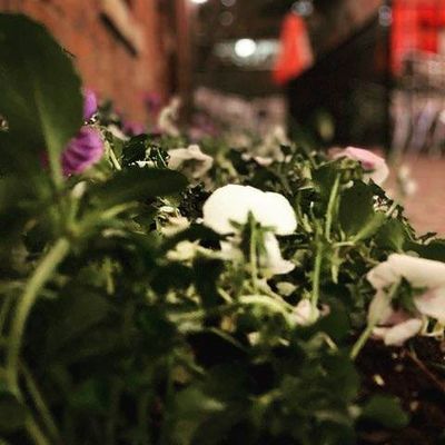 Anonymous Jake thumbnail