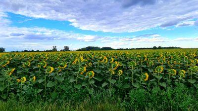 Thecouple080.Free thumbnail