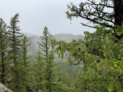 lilfaerygirl thumbnail