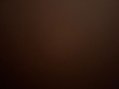 calvinkleinmodel profile