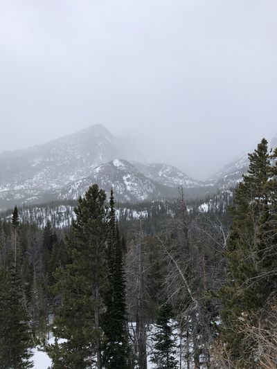 hambone1231 thumbnail