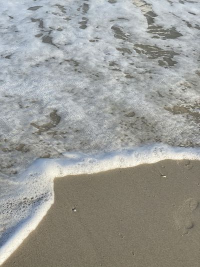 zaidenshay thumbnail