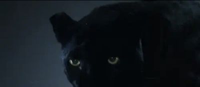 ChooTheGuru thumbnail