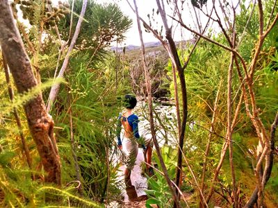 jadedmeadow thumbnail