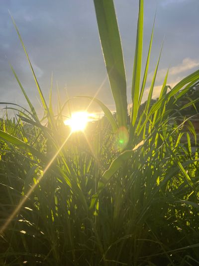 u221400352 thumbnail