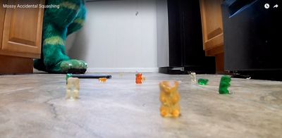 Kali Irwing thumbnail