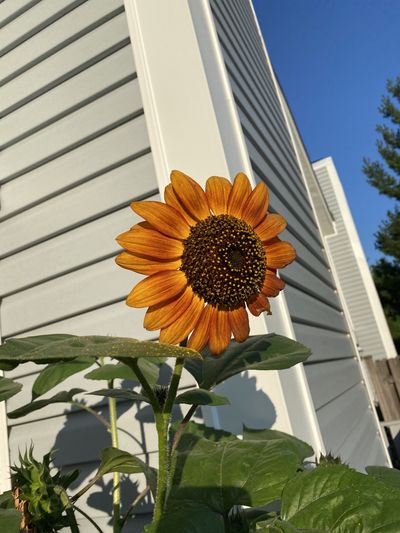 secretsam1997 thumbnail