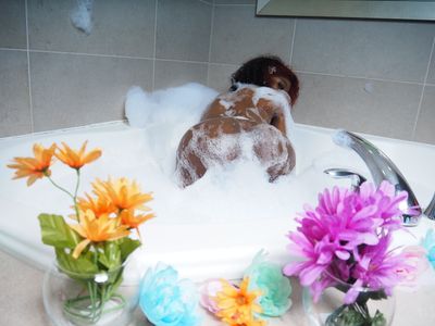 honeybrowncoco profile