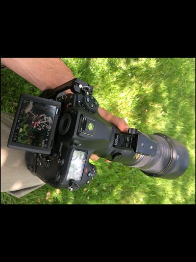 nicksphotography thumbnail