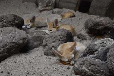 vicvipert301 profile