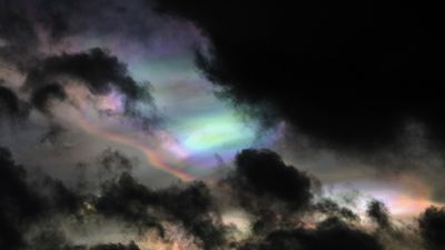 mixedwhoney thumbnail