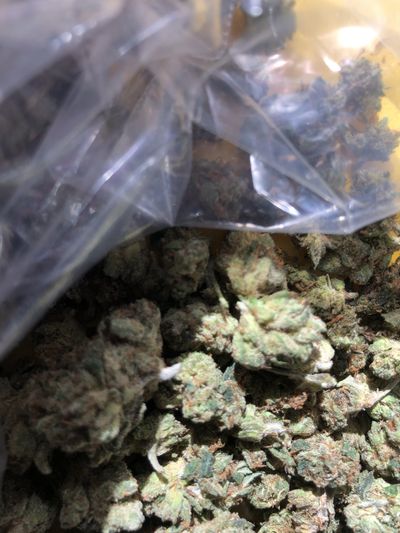 jaycali420blvd thumbnail