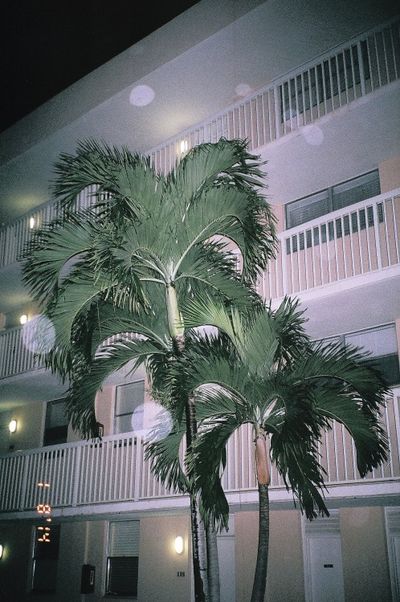 martinsken thumbnail