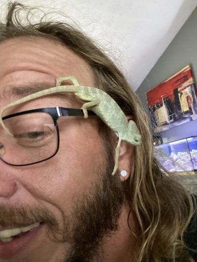 takumi_the_fox thumbnail