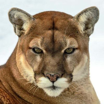 SteveFrench92 profile