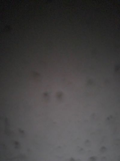 carboysdick thumbnail