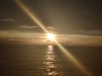 minegranegra thumbnail